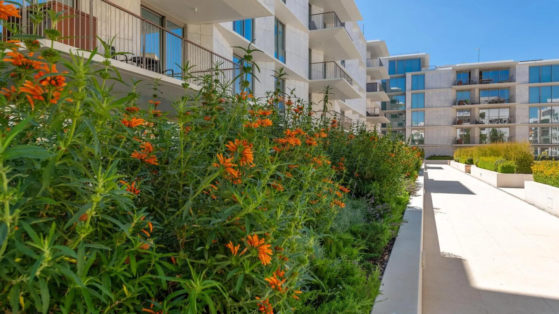 Cond Bayline - T2 - Spa - Pool - Gym - Wifi - Nemo - By Bedzy Armacao de Pera Portugal